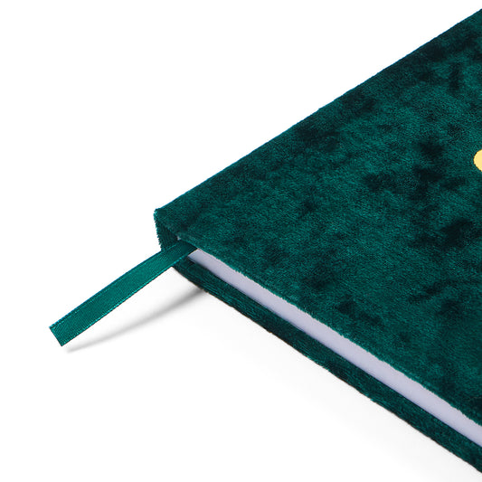 Alpha Epsilon Phi Velvet Notebook with Gold Foil Imprint
