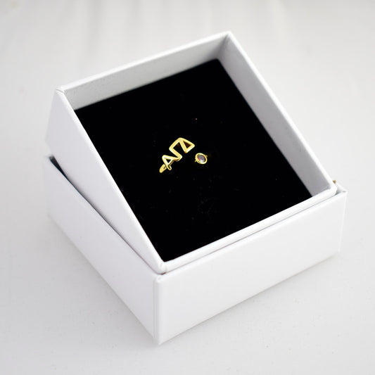 Alpha Gamma Delta Ring- Gold Plated with Greek Letters and CZ Gemstone