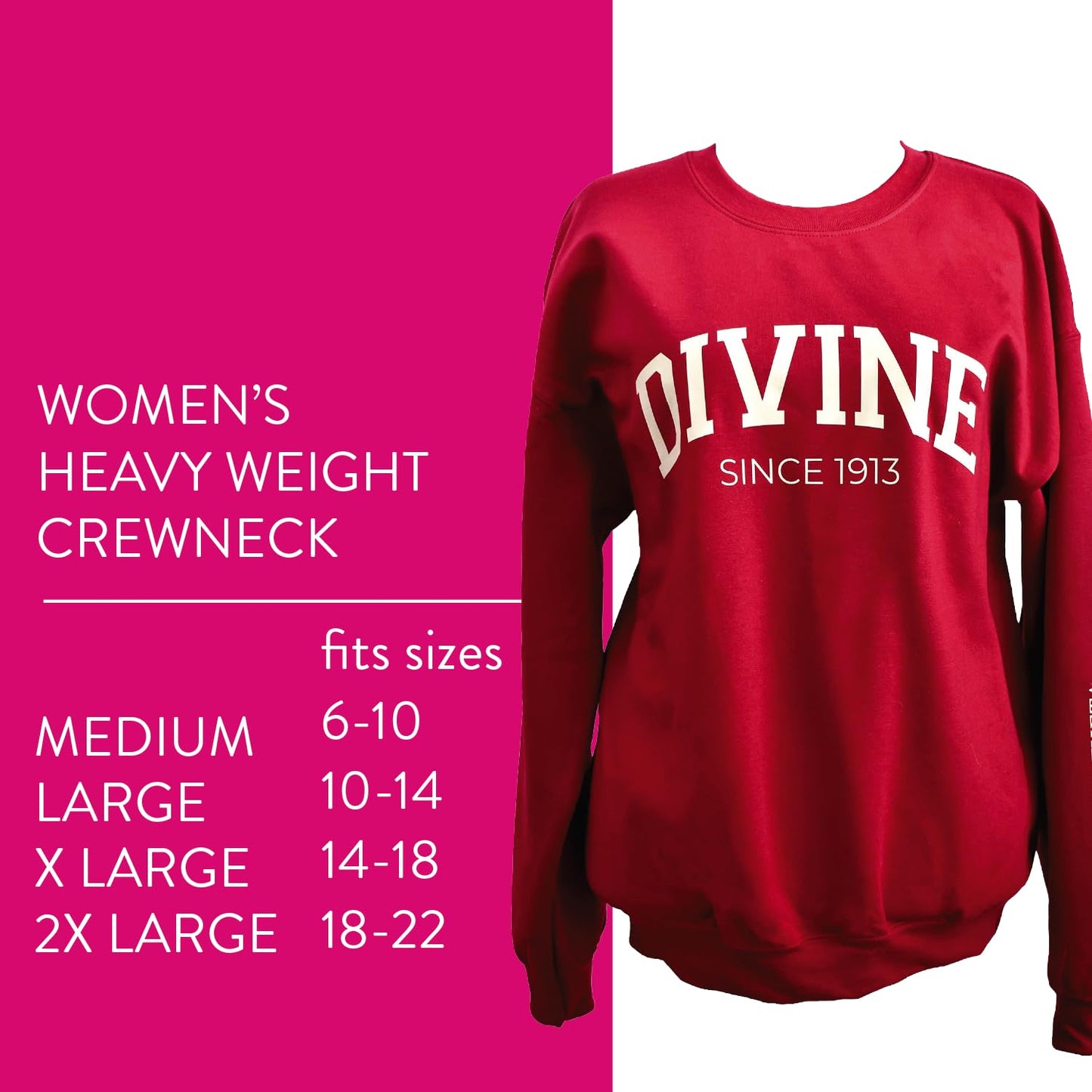 Delta Sigma Theta Sorority, Incorporated Sweatshirt- Divine and Sorority Name Design