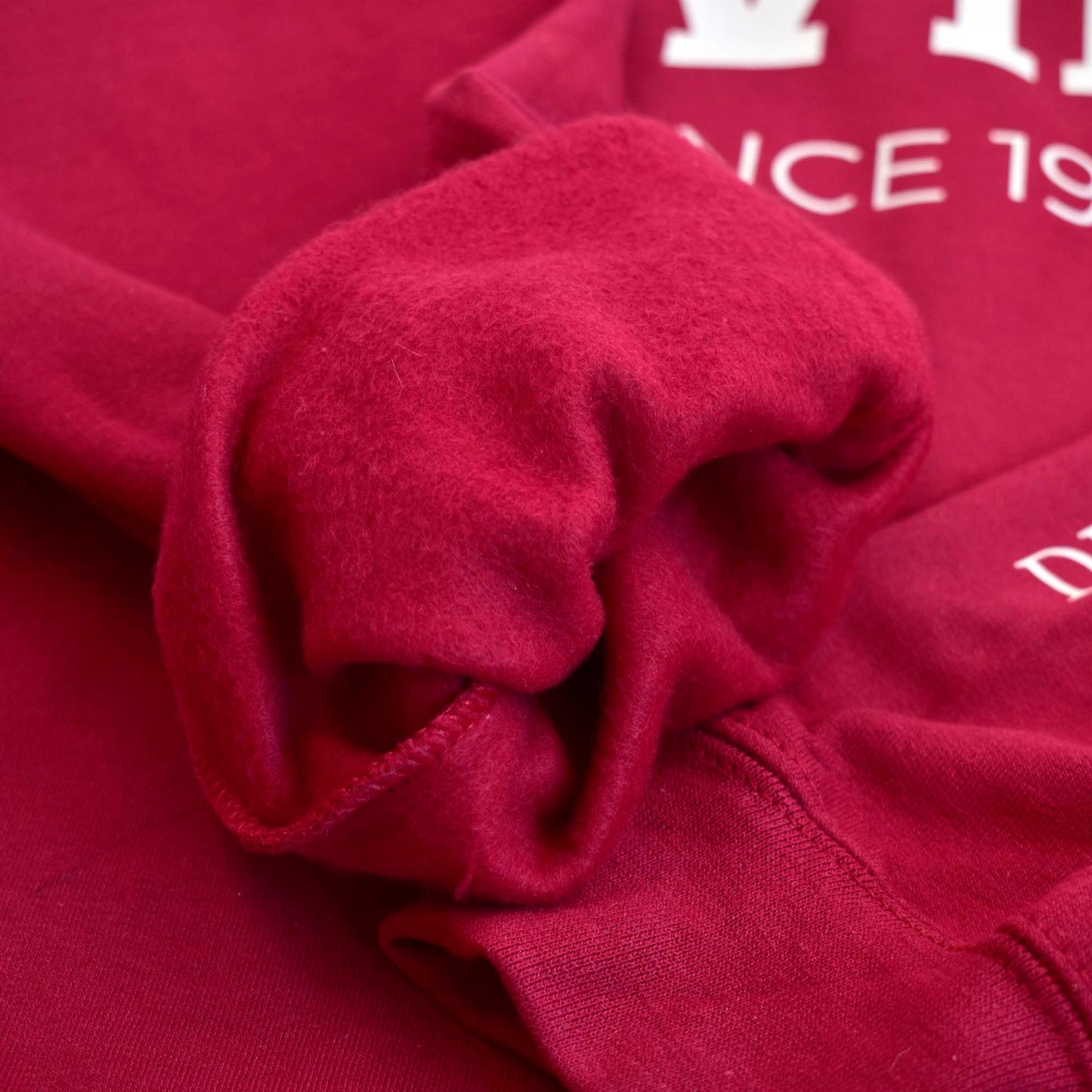 Delta Sigma Theta Sorority, Incorporated Sweatshirt- Divine and Sorority Name Design