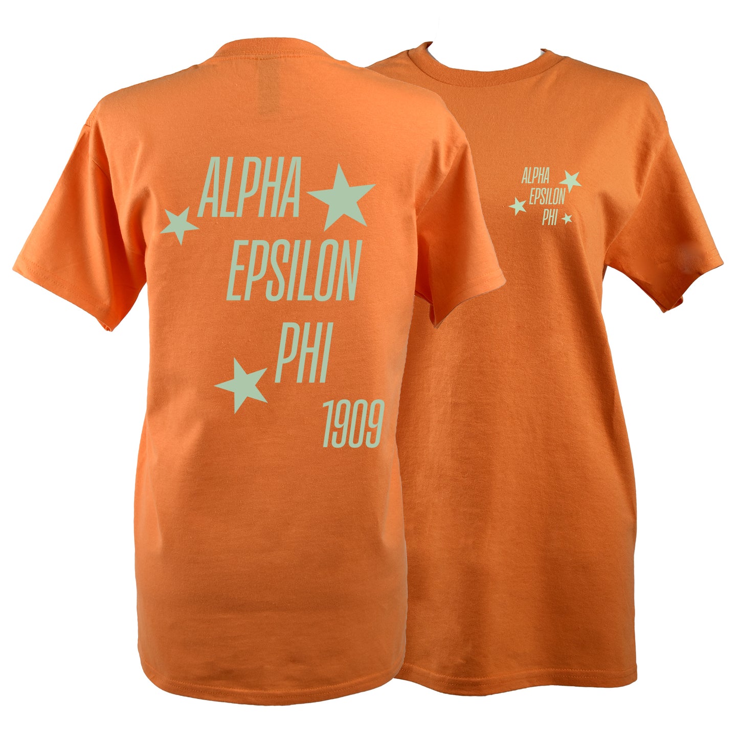 Alpha Epsilon Phi T-Shirt- The Swifties Showgirl Design